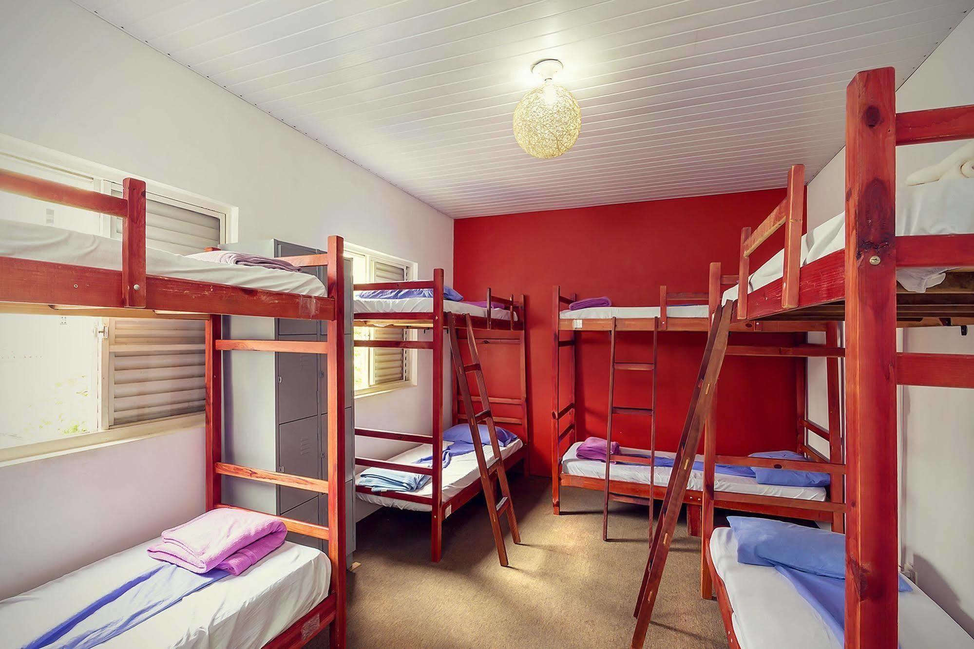 The Connection Hostel ساو باولو المظهر الخارجي الصورة
